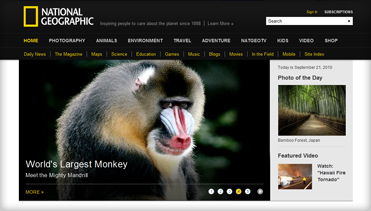 短信轰炸机网页版